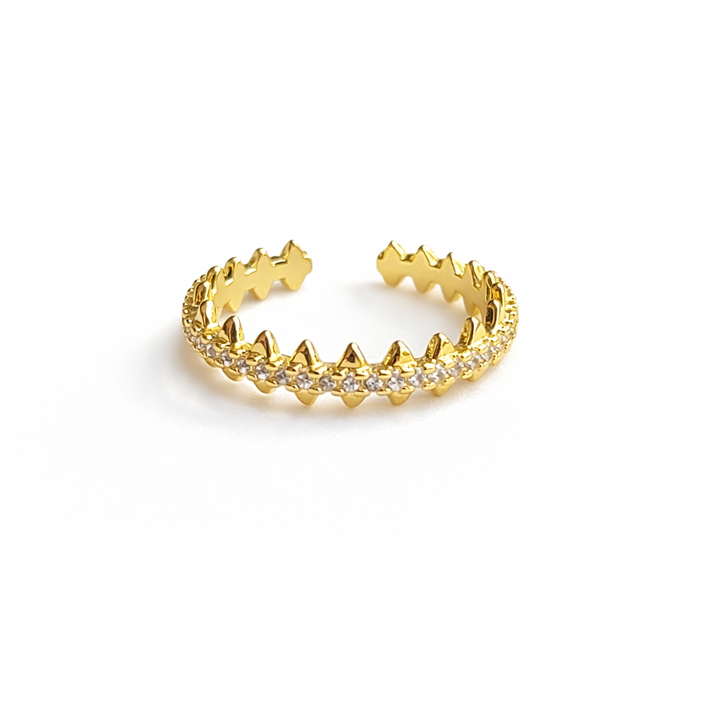 Stainless steel ring