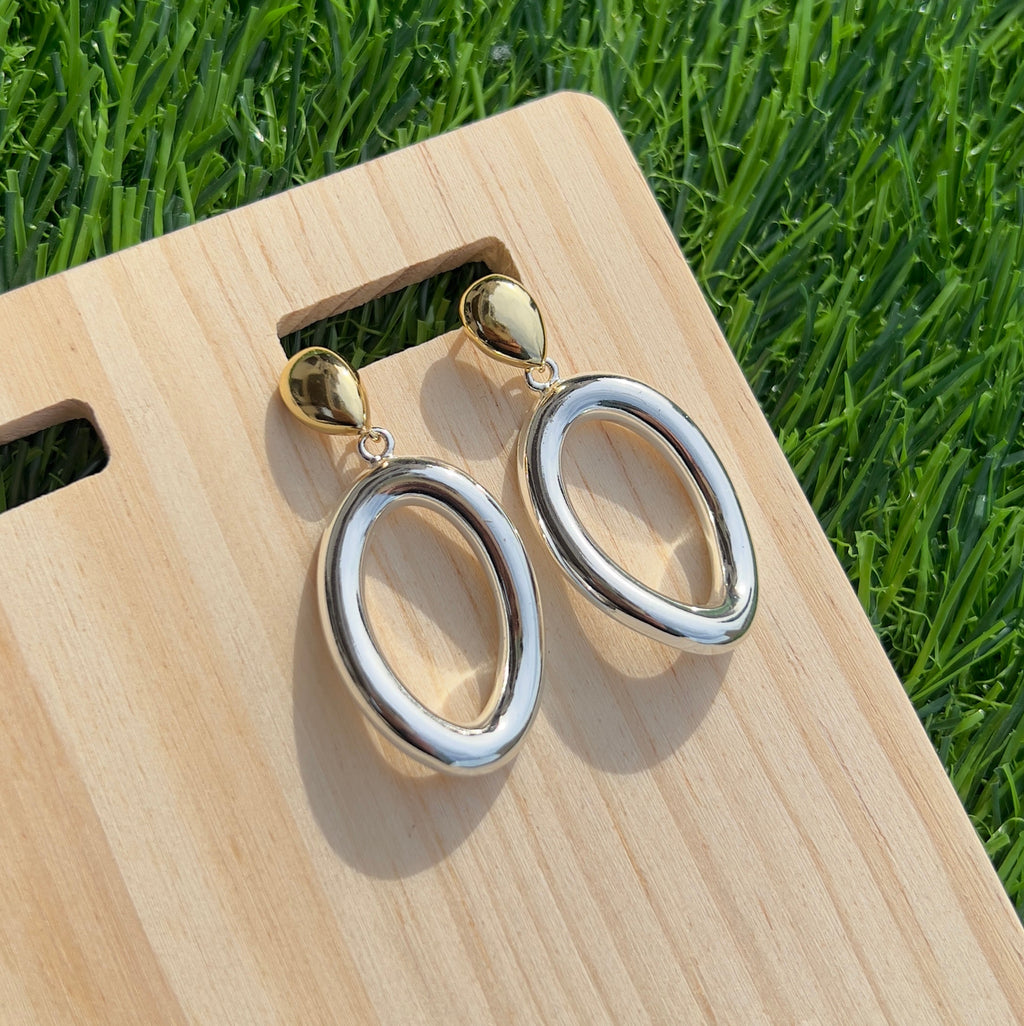 Elegant Two-Tone Earrings