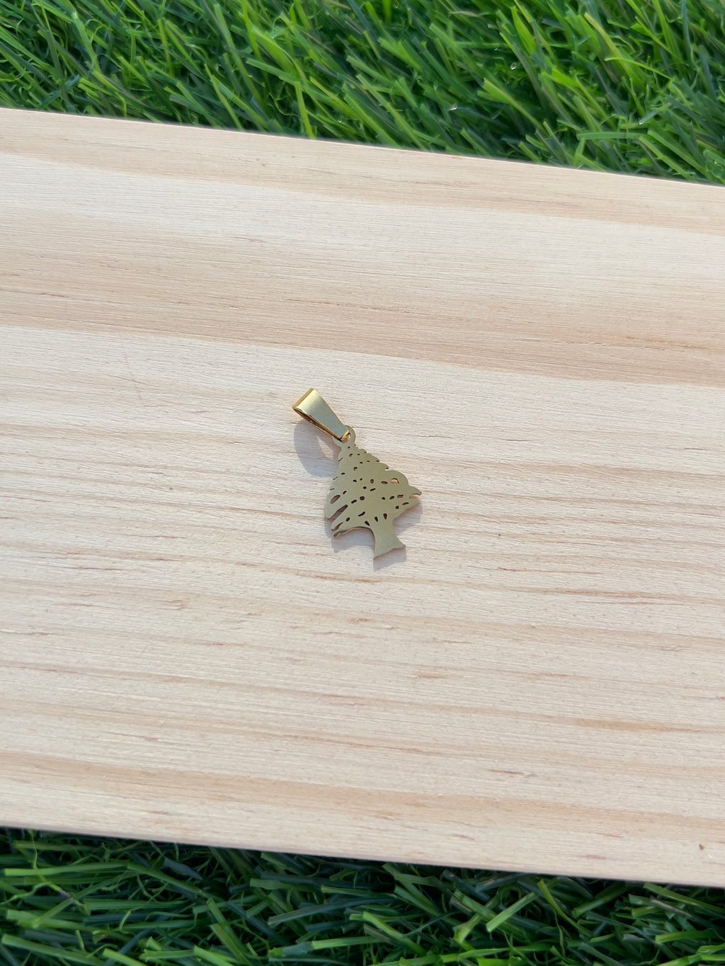 Cedar - Magnetic Chocker