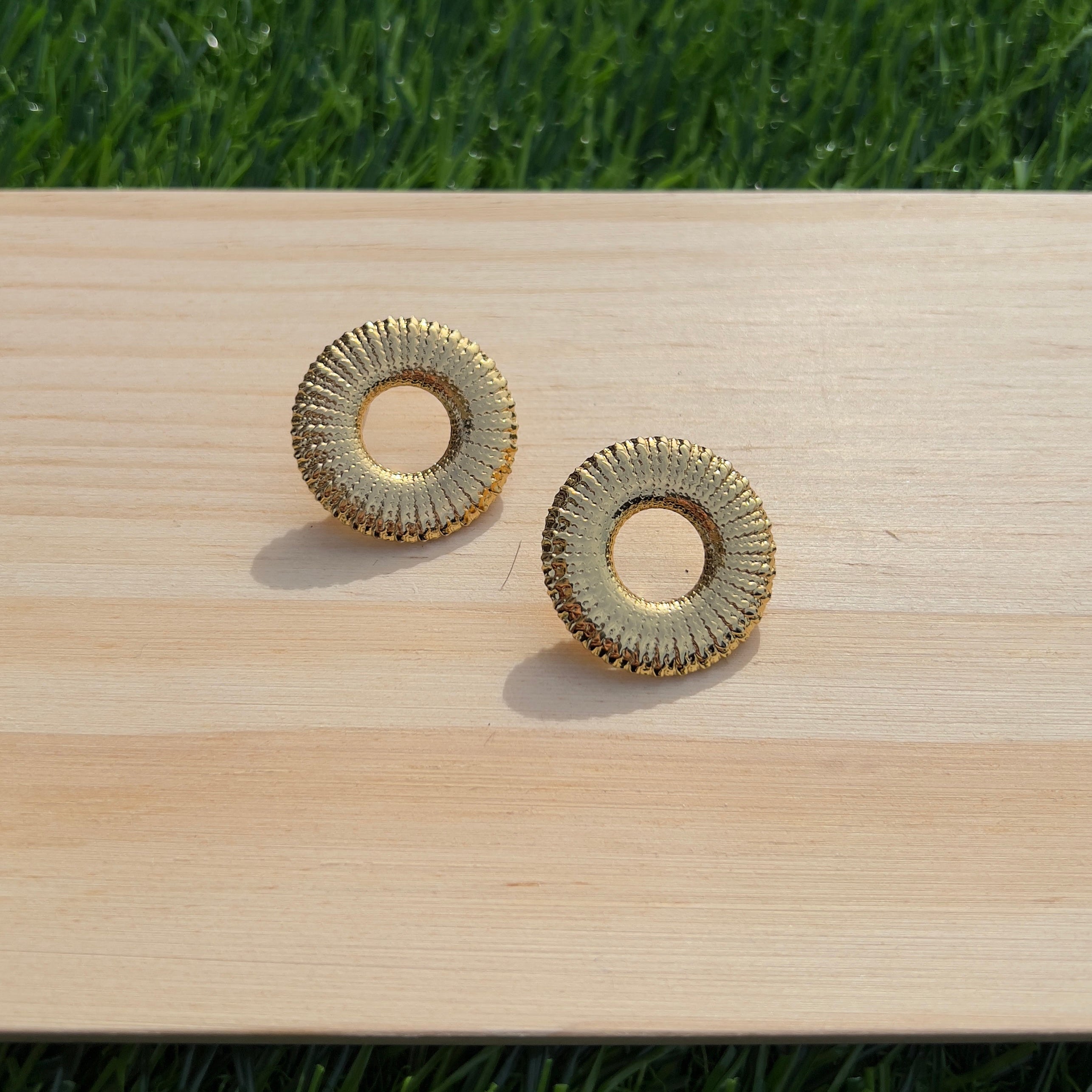 Elegant Circle Earrings