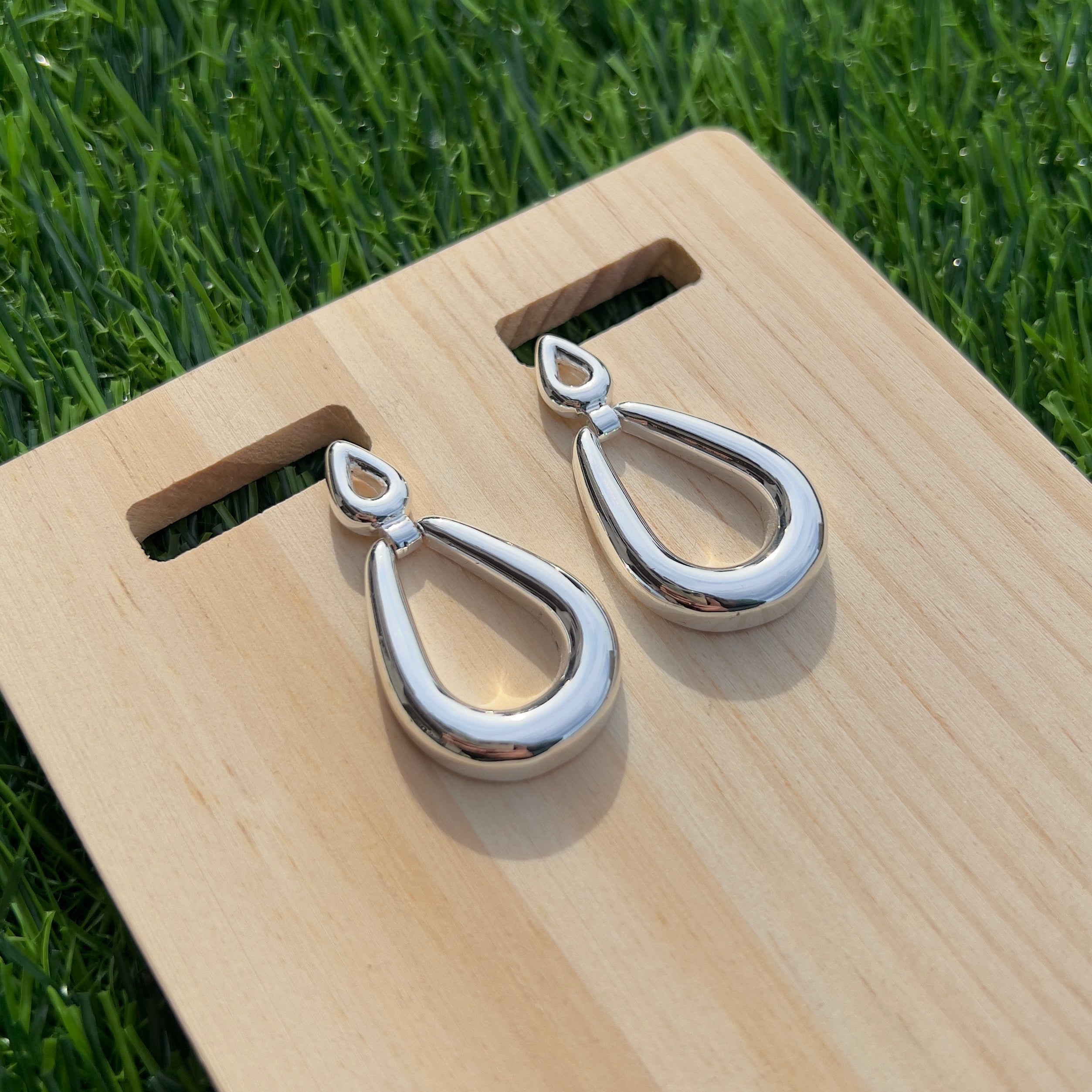 Elegant Silver Earrings