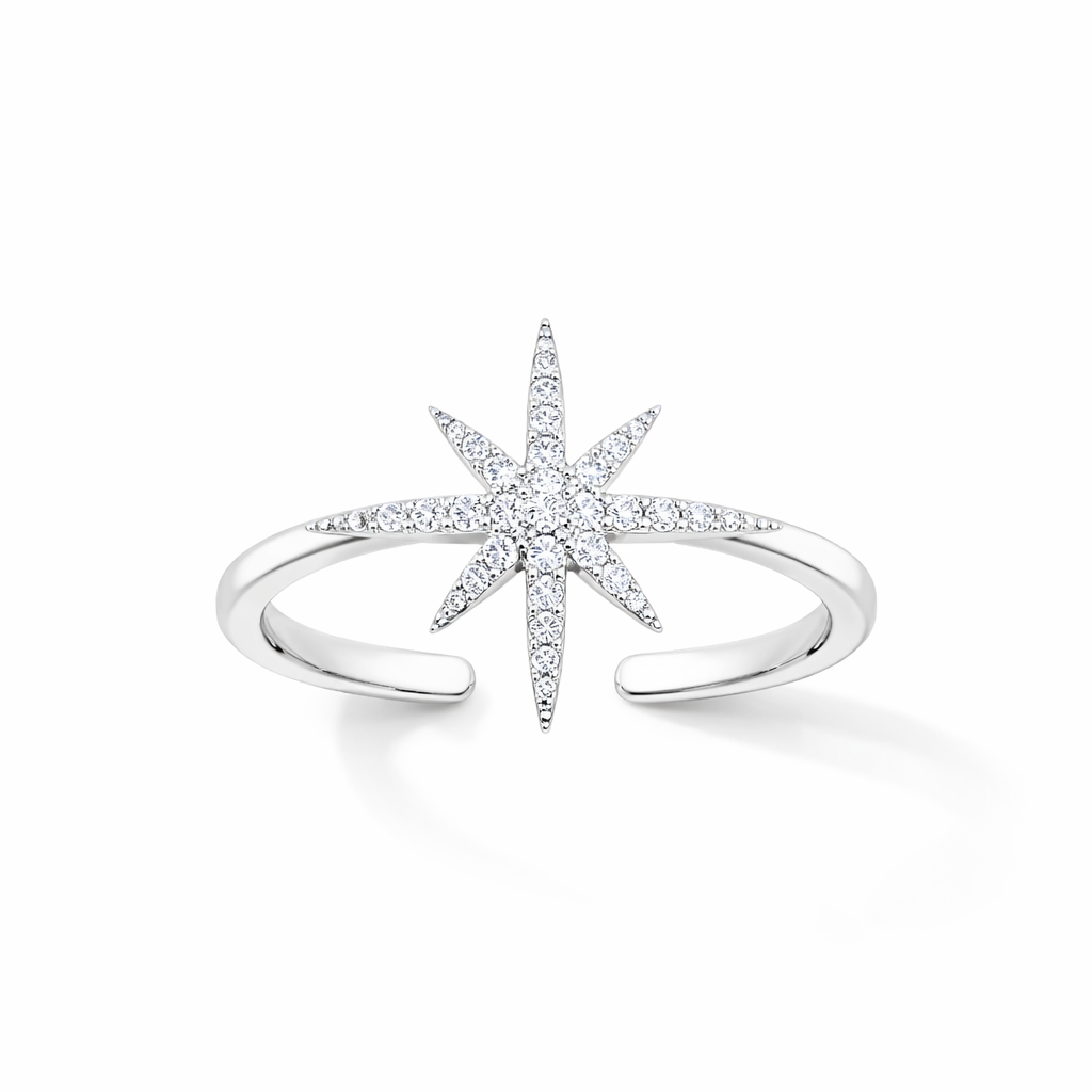 Shiny Silver Ring