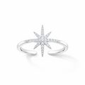 Shiny Silver Ring