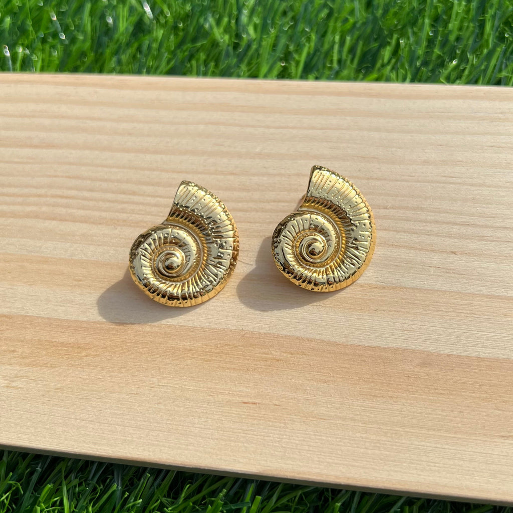 Seashell Earrings