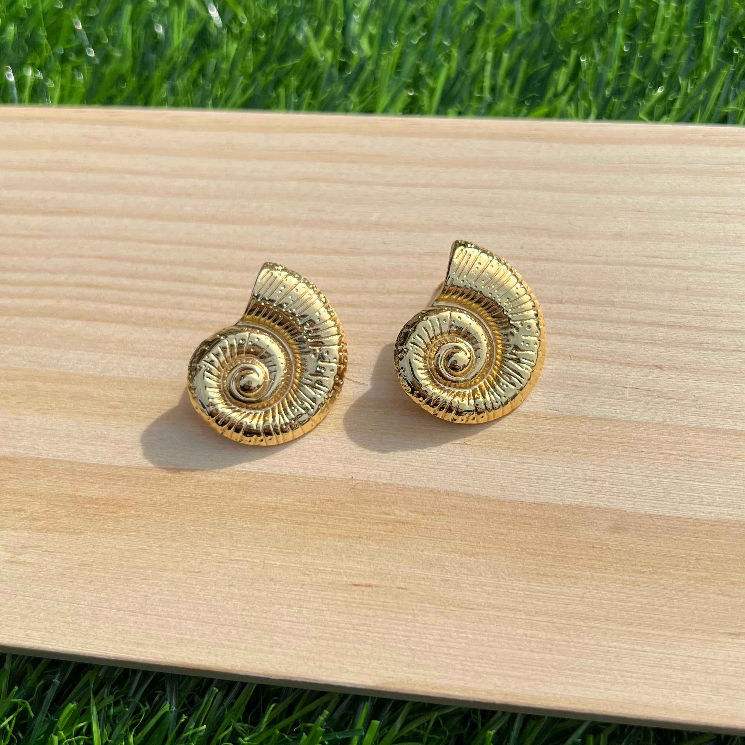 Seashell Earrings